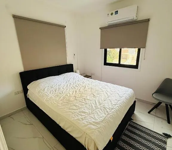 Brand New, Finikoudes Area Lárnaka